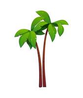 Cartoon palm trees with a curved brown trunks vector