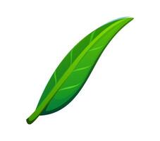 Tree green leaf font, typeset punctuation slash vector