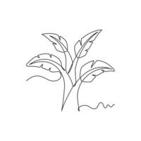 one line art Banana Tree illustration. line art, one continuous line, simple, hand drawn and sketch style. for icons, symbols, signs or logos vector