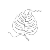 one line art Monstera illustration. line art, one continuous line, simple, hand drawn and sketch style. for icons, symbols, signs or logos vector