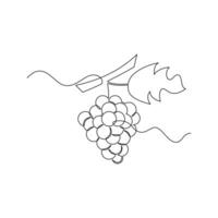 one line art Grape illustration. line art, one continuous line, simple, hand drawn and sketch style. for icons, symbols, signs or logos vector