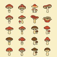 Mushroom Set with Isolated, and Beige Background. vector