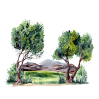 Trees and rocks in watercolor technique png