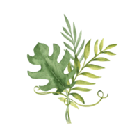 Tropical Leaves Bouquet. Palm, Eucalyptus and Monstera bound with Liana. Watercolor Composition. Hand drawn botanical illustration. For cards, invitations, posters and png