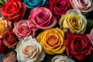 Closeup many color of rose flowers photo