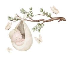 Watercolor illustration of a sleeping Baby swaddled in a fabric pouch hanging from a branch, surrounded by soft butterflies and greenery. Drawing of Infant in swaddle for baby shower cards. vector