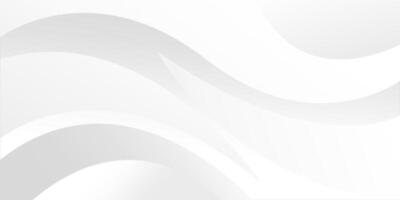 White background abstract with gradient color and artistic dynamic line decoration design vector