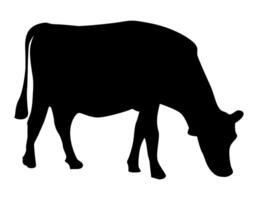 Silhouette of beef cattle, cow in side view bending down to graze isolated. vector