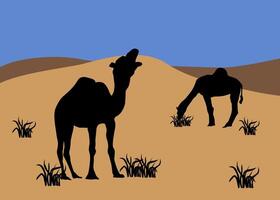 Landscape illustration of two Camel in the desert grazing in summer seasonal with copy space, flat . vector