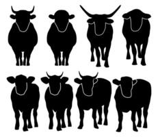 Black silhouettes of beef cattle, cow in front view collection, agricultural farming icon set, isolated. vector
