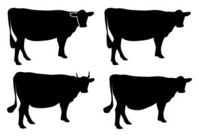Silhouettes of beef cattle, cow in side view collection, agricultural farming icon set, isolated. vector