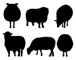 Silhouettes of sheep in different pose, front and side view, full body isolated. Agricultural symbol. vector