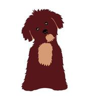 Funny Puppy Maltese dog symbol. Decoration for greeting card or print. Abstract sign for mug,t-shirt,phone case. Ideal for printing, posters, textiles. vector