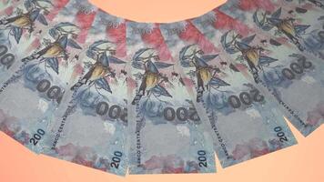 74 Courageous Looping Design Dobra Curency of Sao Tome and Principe video