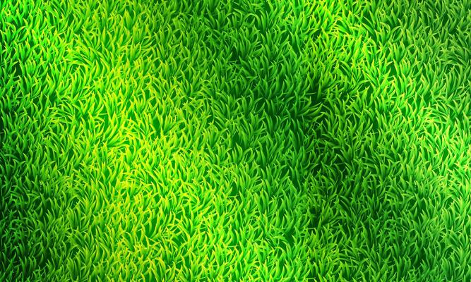 Abstract green grass texture. green fabric texture background.