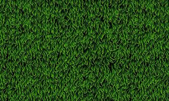 Abstract green grass texture. Fresh grass pattern background. vector
