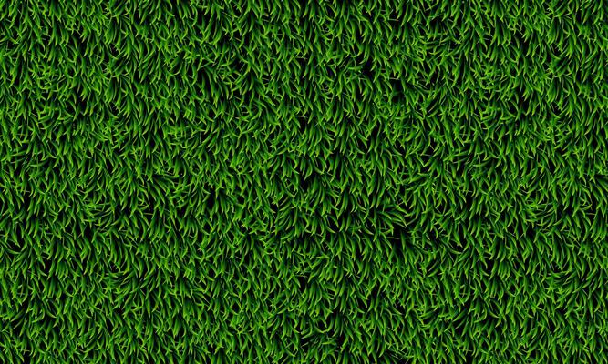 Abstract green grass texture. Fresh grass pattern background.