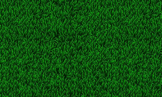 Abstract green grass texture. soft green lawn background.