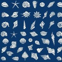 Seashells hand-drawn colorful seamless pattern. White shell on blue background. Nautical seamless background for summer, beach, textile, packaging vector