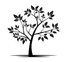 Tree silhouette on white background vector