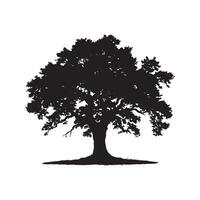 oak tree silhouette isolate on white background vector