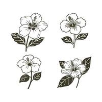 Hibiscus Flowers Line Art Icon Set, Hibiscus Flower with Leaves vector