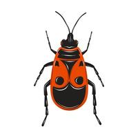 Firebug insect on a white background. Red and black beetle. Isolated drawing illustration. vector