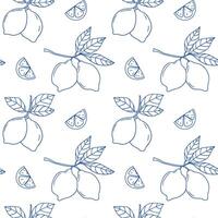 Lemon and lime pattern design featuring hand-drawn fruits and leaves on a white background vector