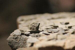 Surface of Earth's Memory photo