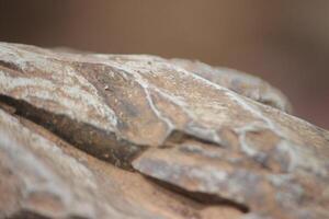 Layers of Earth photo