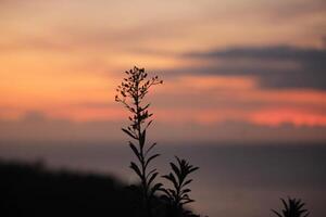 Dusk Falls on the Tide photo