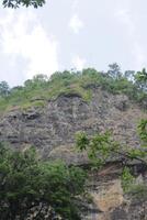 Verdant Cliffs of Ciletuh Jungle photo