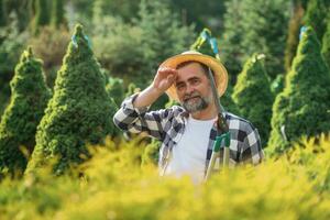 Tired, ,taking ,,a break. Senior gardener is at work at daytime photo