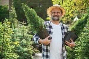 Enjoying the job,,. Senior gardener is at work at daytime photo