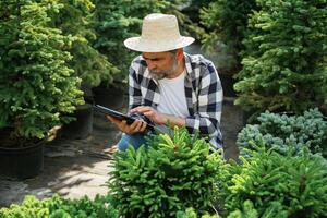 Using,, digital tablet, sitting. Senior,, gardener is at work at daytime photo