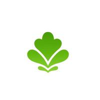 leaf simple minimalist for business. fresh colors dynamic green vector