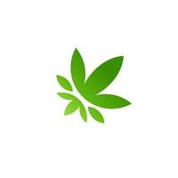 modern abstract leaf simple for business. fresh colors dynamic green vector