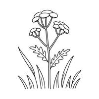 A tansy swaying among wild grass in an open field vector