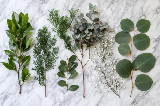 Arranged green leaves and plants on a marble tabletop creating a fresh botanical display in natural light photo