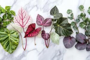 A vibrant arrangement of diverse leaves on a marble tabletop creates a stunning flat lay design perfect for nature lovers photo