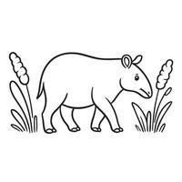 A tapir walking near tall grass in a forest clearing vector