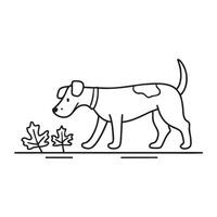 A terrier sniffing around fallen leaves on a path vector