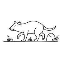 A Tasmanian devil walking beside a rock in a grassy field vector