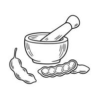 Tamarinds pod split open beside a mortar and pestle vector