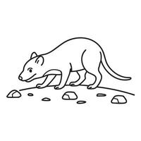 A Tasmanian devil sniffing tracks on a trail near rocks vector