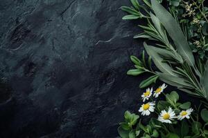 Fresh sage, rosemary, and chamomile herbs beautifully arranged on dark stone, designed for creative projects and culinary inspiration photo