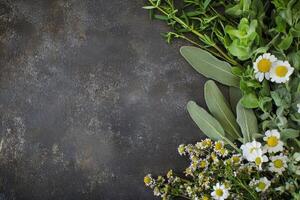 Freshly gathered sage, rosemary, and chamomile herbs artfully arranged for creative expression and culinary exploration photo