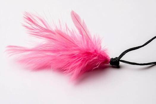 Pink feather cat toy teaser on string perfect for playful feline engagement and exercise during indoor playtime photo
