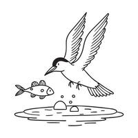 A tern circling above fish in shallow water vector