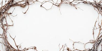Natural dried vine wreath frame suitable for rustic decor or seasonal crafts, featuring intricate textures and neutral tones photo